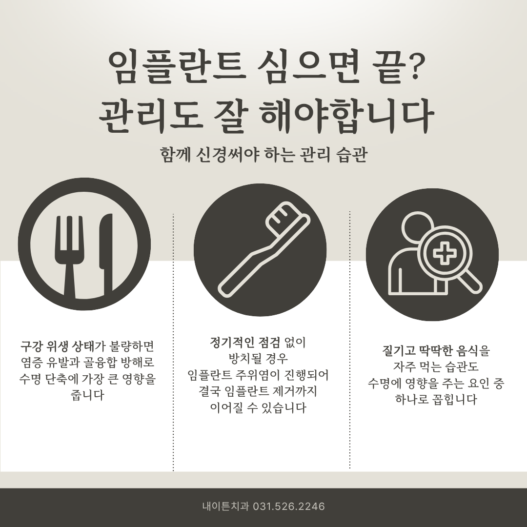 앞니와 어금니 임플란트 비교 안내