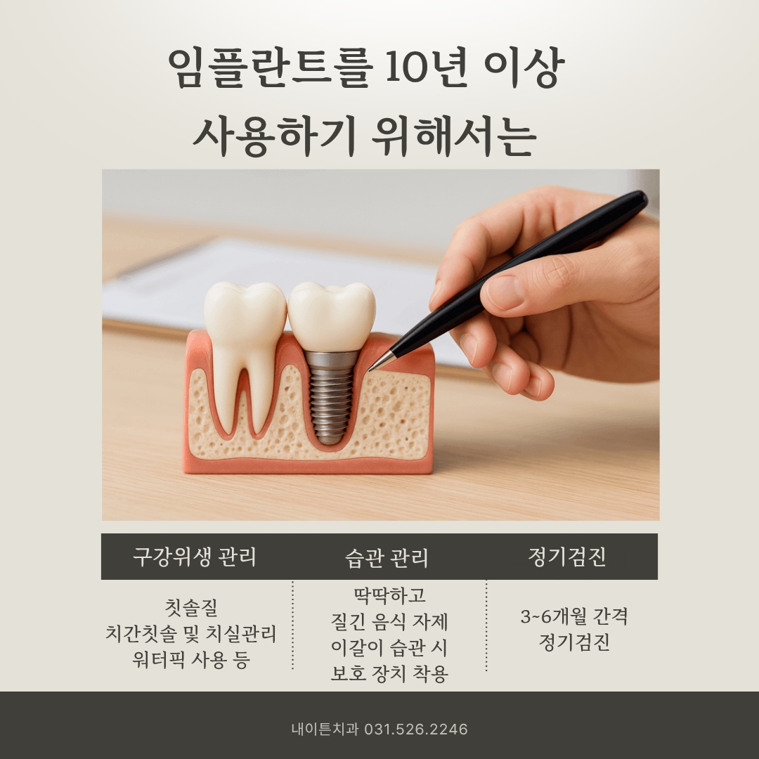 치조골 내 임플란트 픽스처 식립 교육용 모형