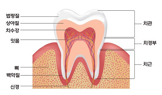 Treatment case image 5