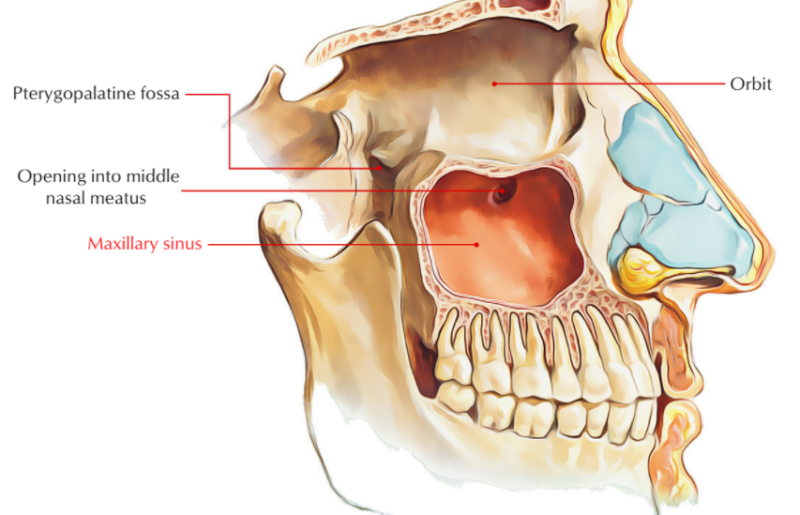 Treatment case image 1