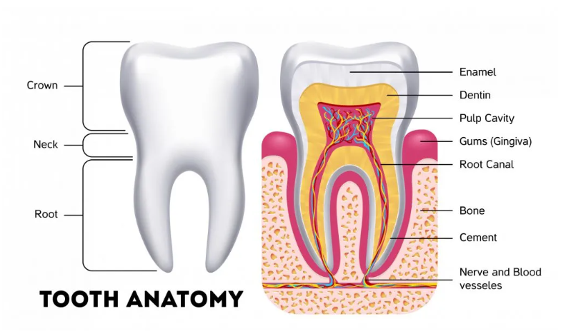 Treatment case image 1