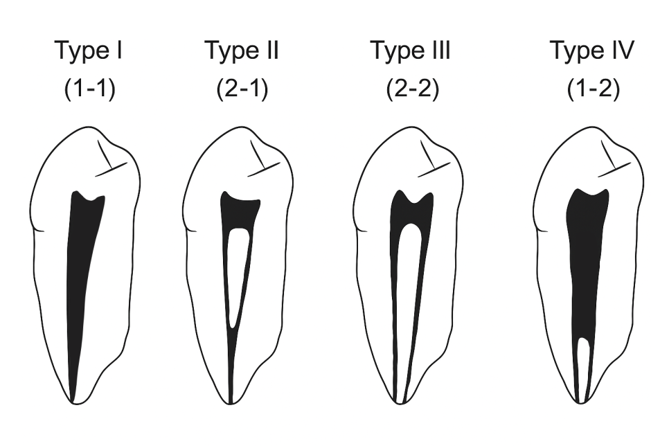 Treatment case image 3